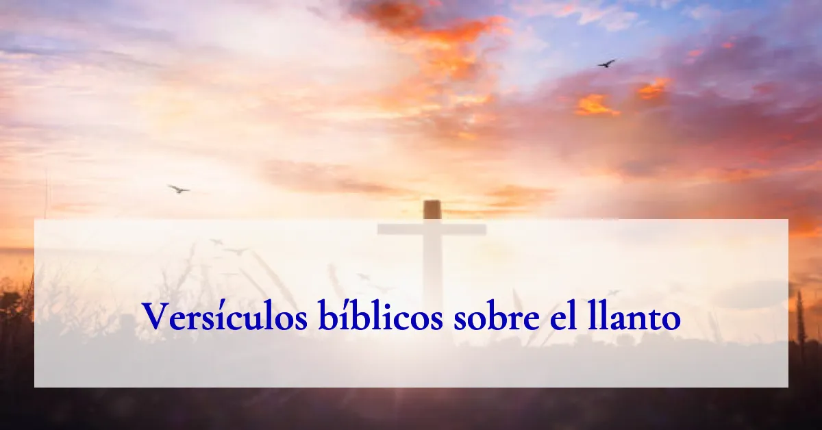 Versículos bíblicos sobre el llanto