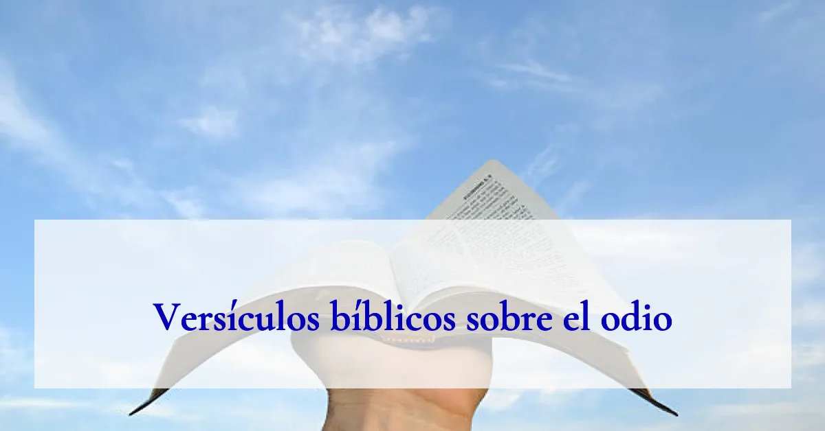 Versículos bíblicos sobre el odio