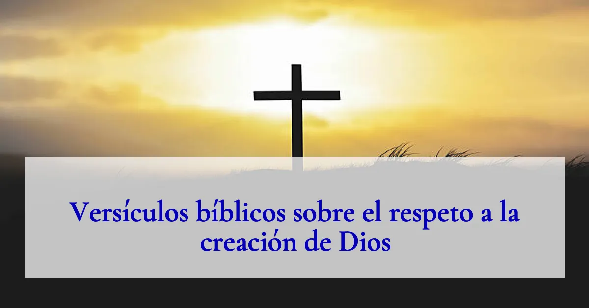 Versículos bíblicos sobre el respeto a la creación de Dios