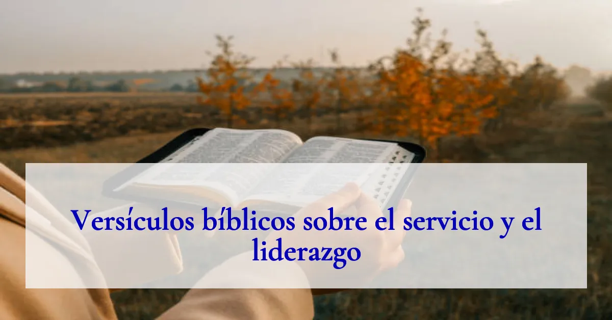 Versículos bíblicos sobre el servicio y el liderazgo