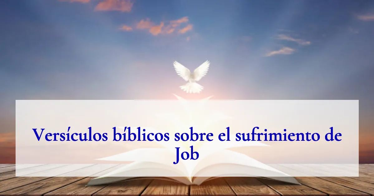 Versículos bíblicos sobre el sufrimiento de Job