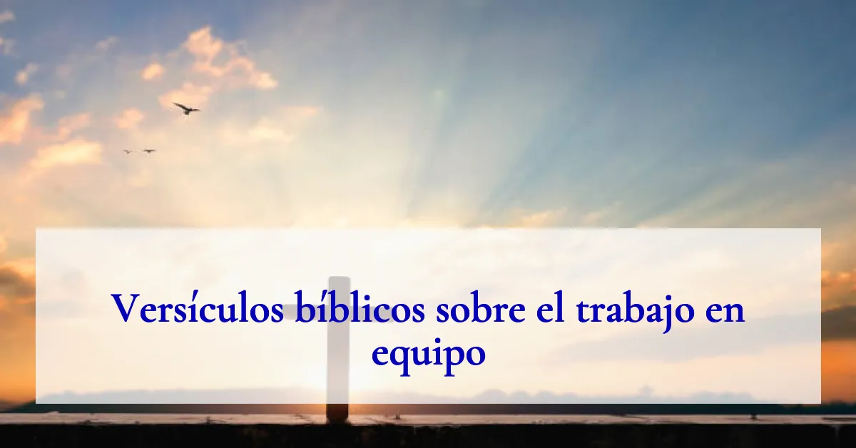 Versículos bíblicos sobre el trabajo en equipo
