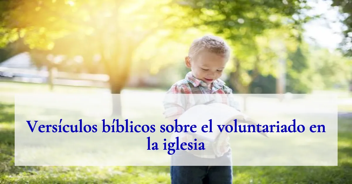 Versículos bíblicos sobre el voluntariado en la iglesia