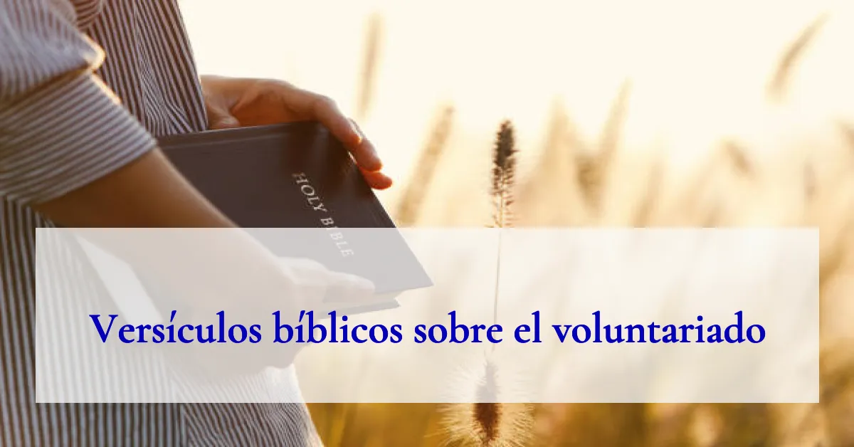 Versículos bíblicos sobre el voluntariado