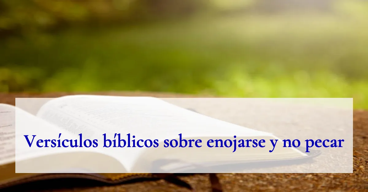 Versículos bíblicos sobre enojarse y no pecar