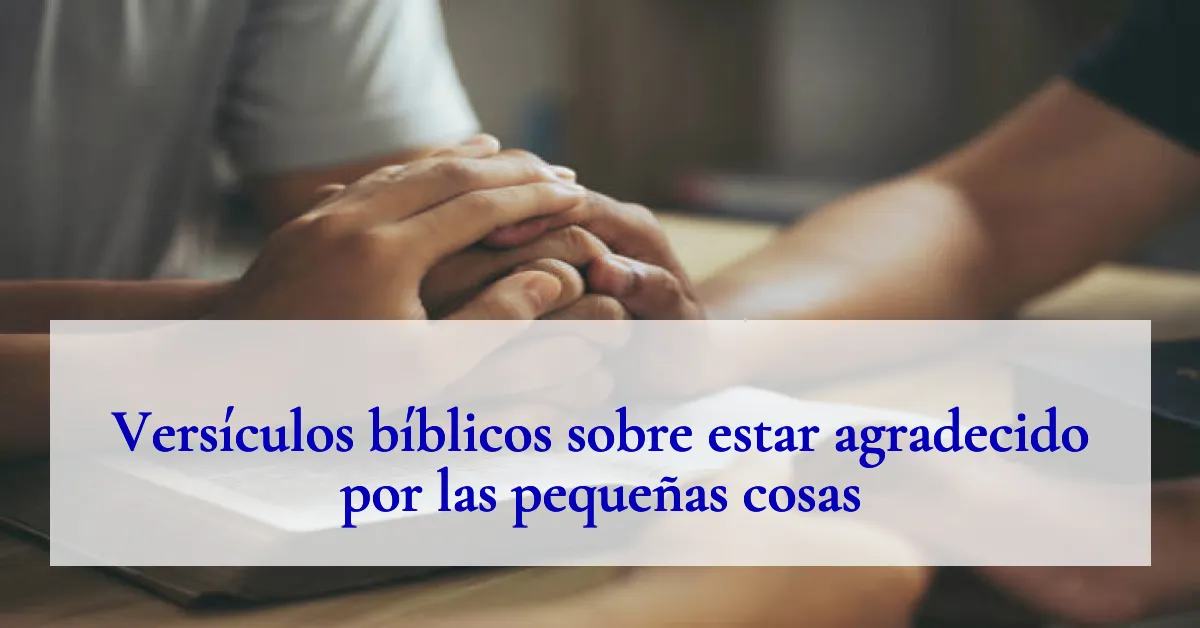 Versículos bíblicos sobre estar agradecido por las pequeñas cosas