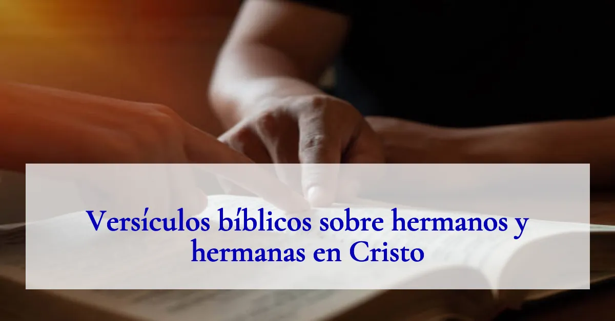 Versículos bíblicos sobre hermanos y hermanas en Cristo