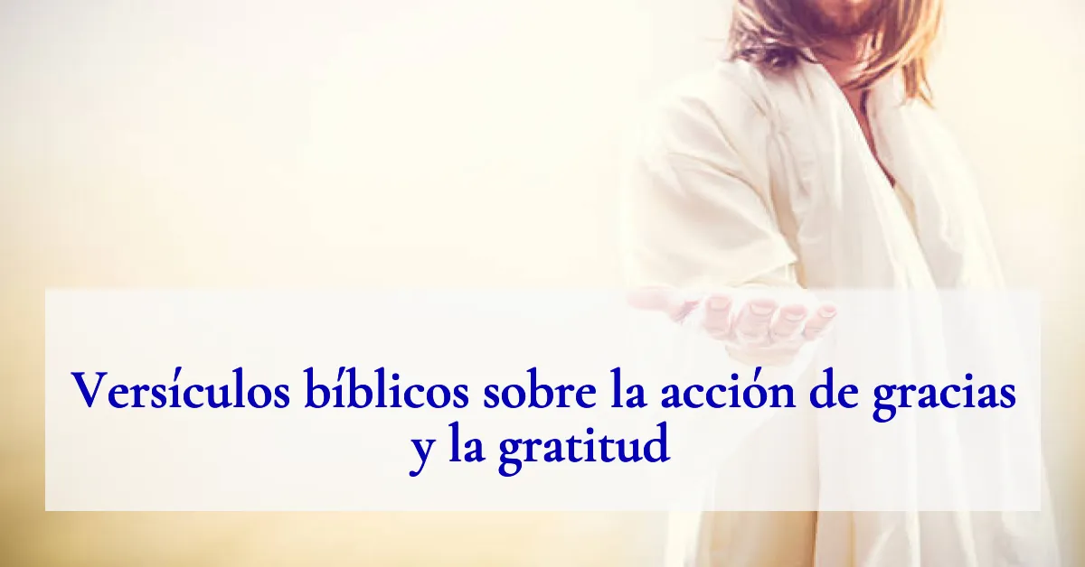 Versículos bíblicos sobre la acción de gracias y la gratitud