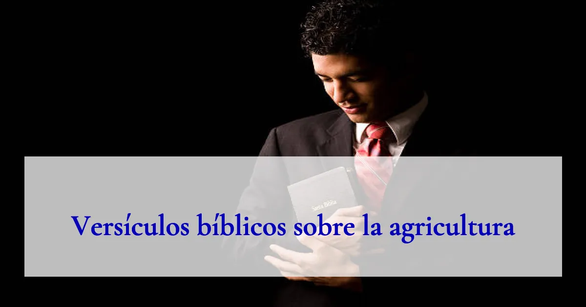 Versículos bíblicos sobre la agricultura
