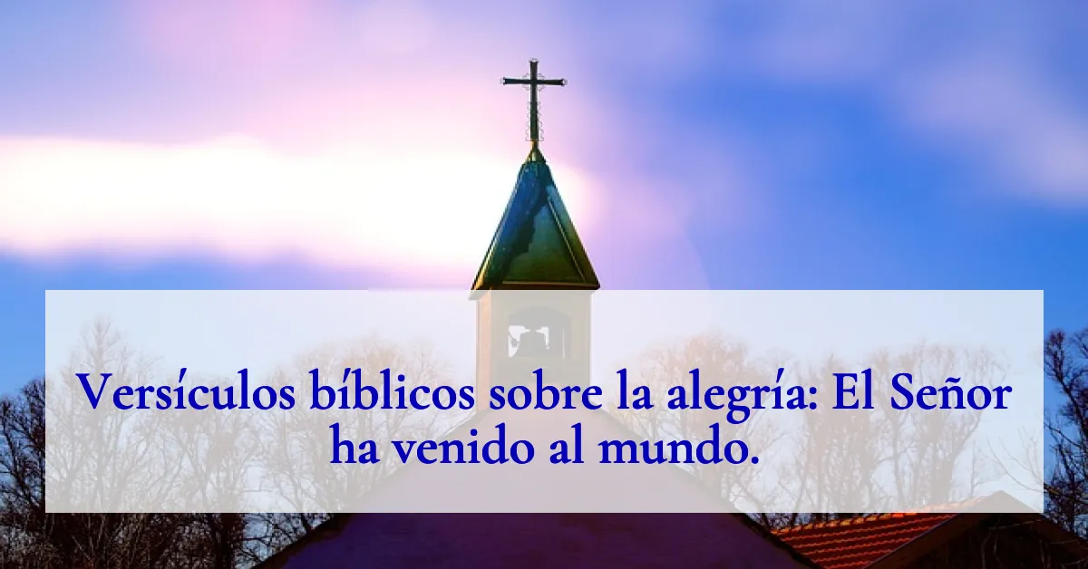 Versículos bíblicos sobre la alegría: El Señor ha venido al mundo.