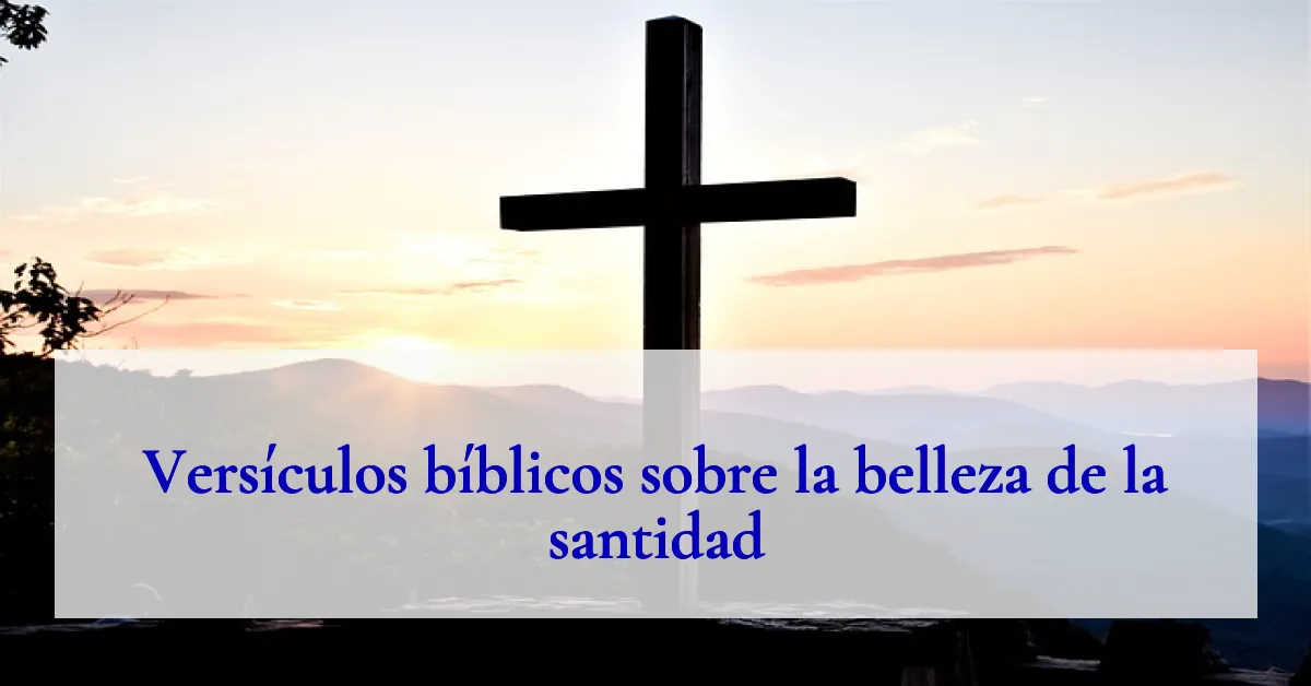 Versículos bíblicos sobre la belleza de la santidad