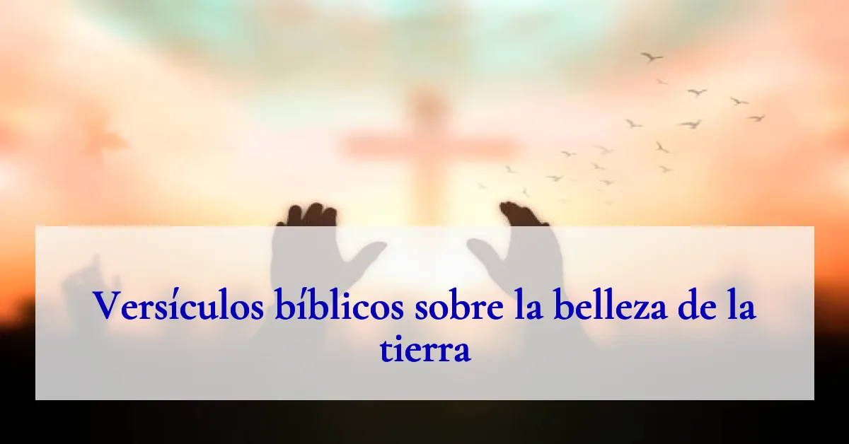 Versículos bíblicos sobre la belleza de la tierra