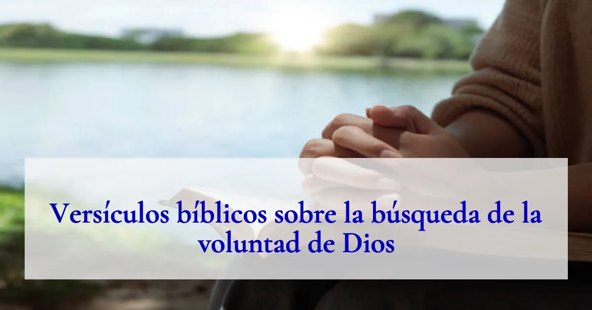 Versículos bíblicos sobre la búsqueda de la voluntad de Dios