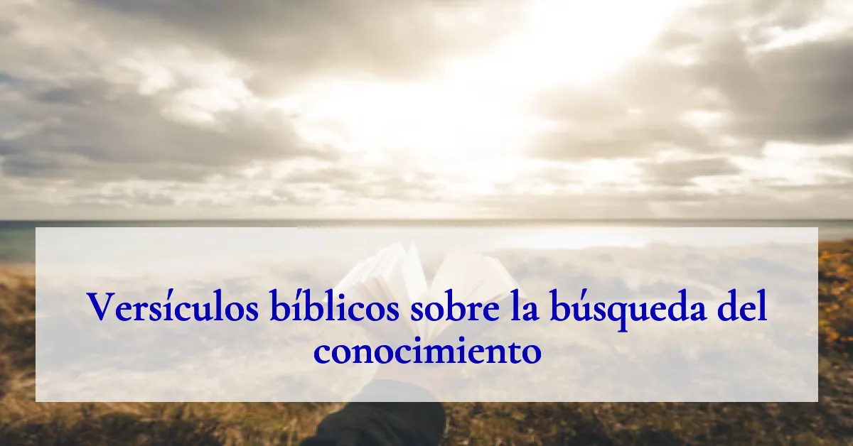 Versículos bíblicos sobre la búsqueda del conocimiento