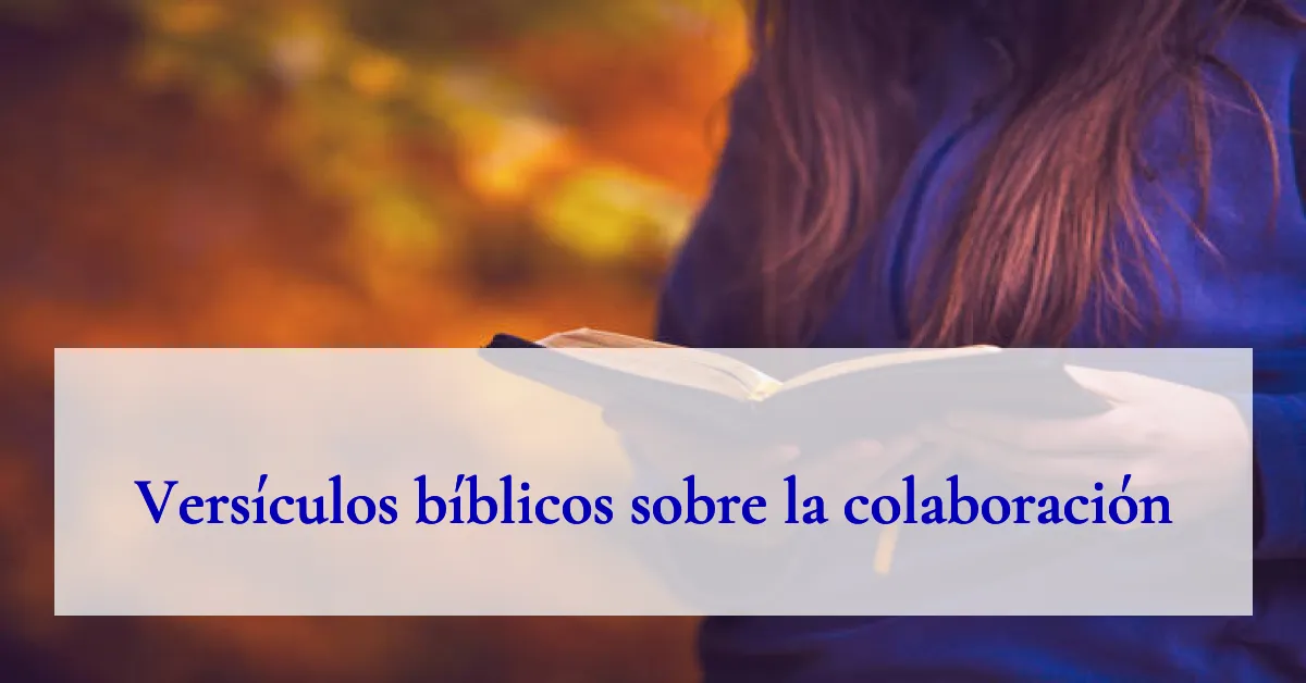 Versículos bíblicos sobre la colaboración