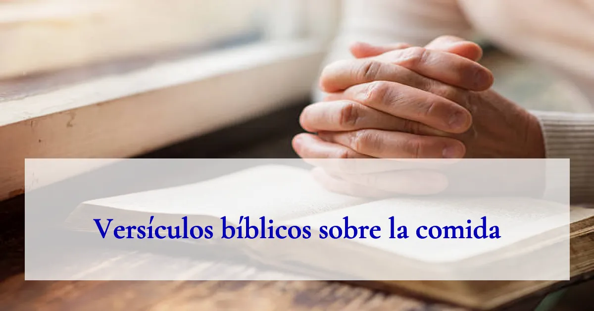 Versículos bíblicos sobre la comida
