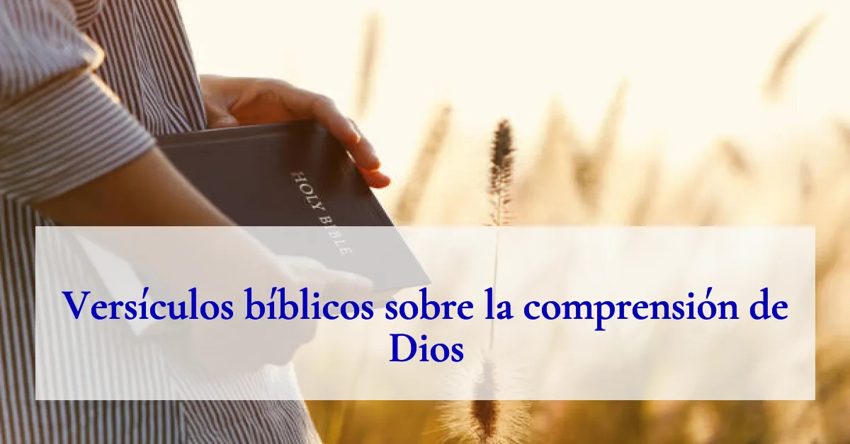 Versículos bíblicos sobre la comprensión de Dios