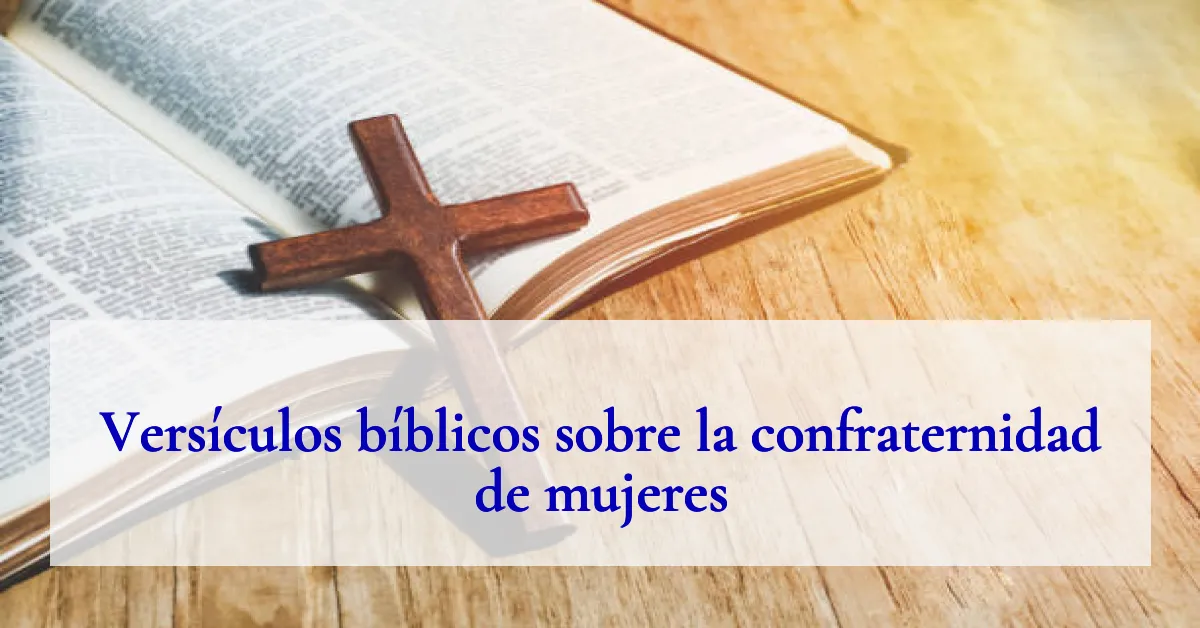 Versículos bíblicos sobre la confraternidad de mujeres