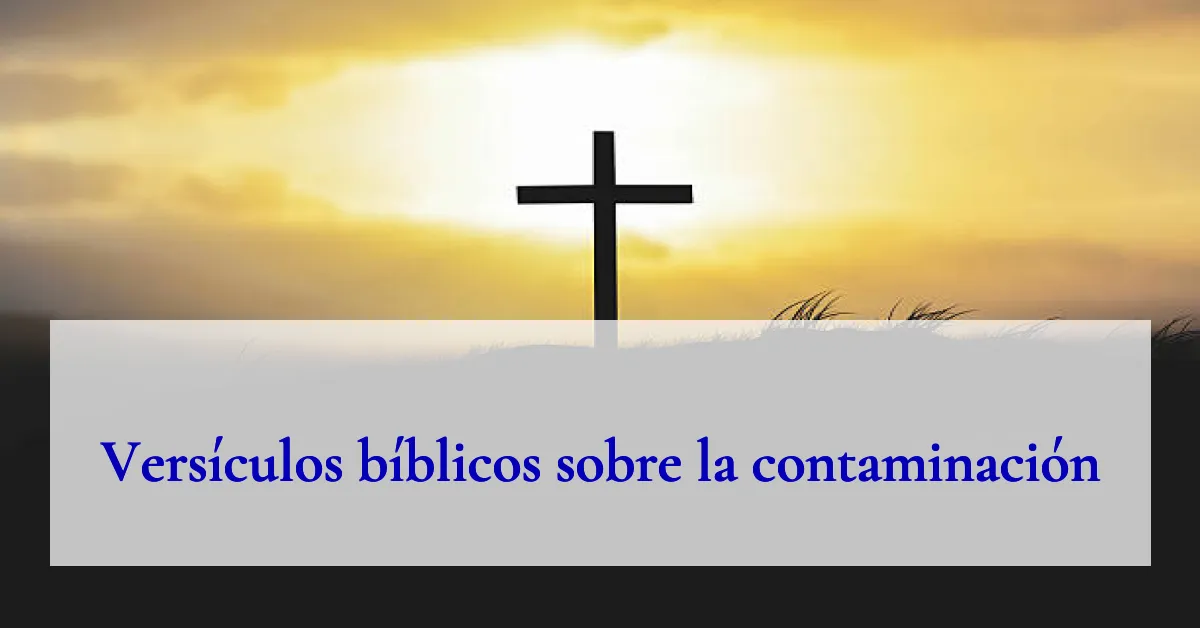 Versículos bíblicos sobre la contaminación