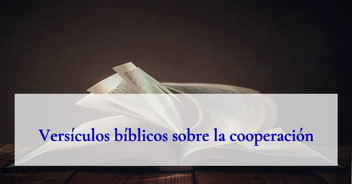 Versículos bíblicos sobre la cooperación