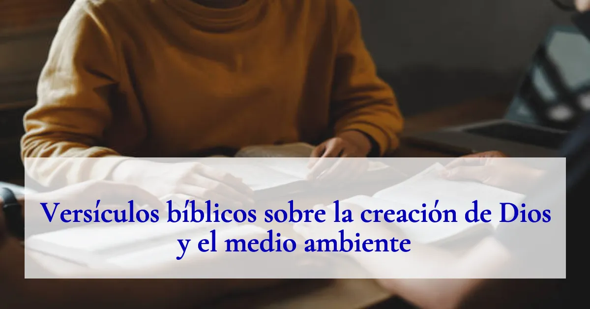Versículos bíblicos sobre la creación de Dios y el medio ambiente