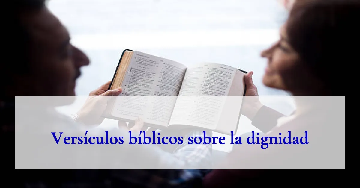 Versículos bíblicos sobre la dignidad