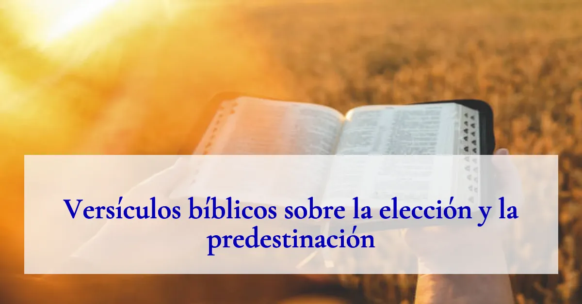 Versículos bíblicos sobre la elección y la predestinación