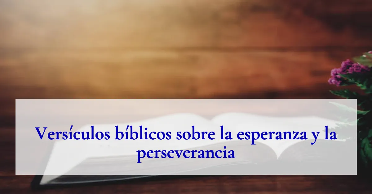 Versículos bíblicos sobre la esperanza y la perseverancia