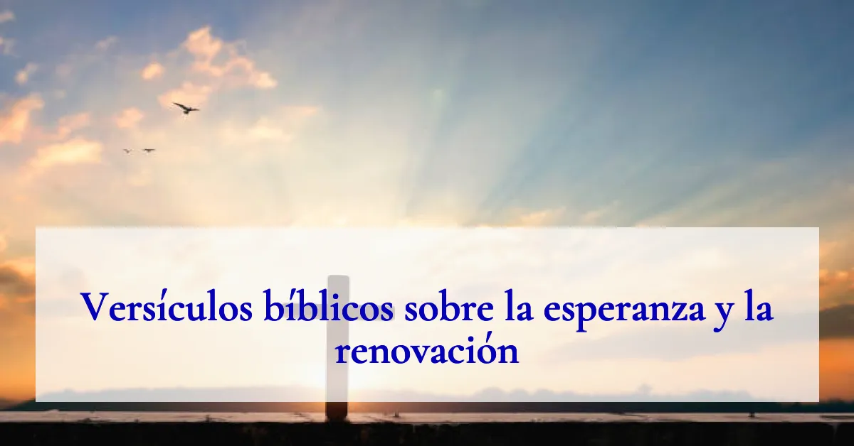 Versículos bíblicos sobre la esperanza y la renovación