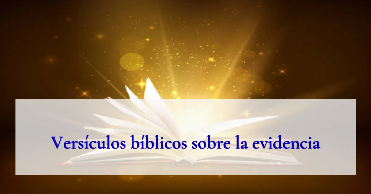 Versículos bíblicos sobre la evidencia