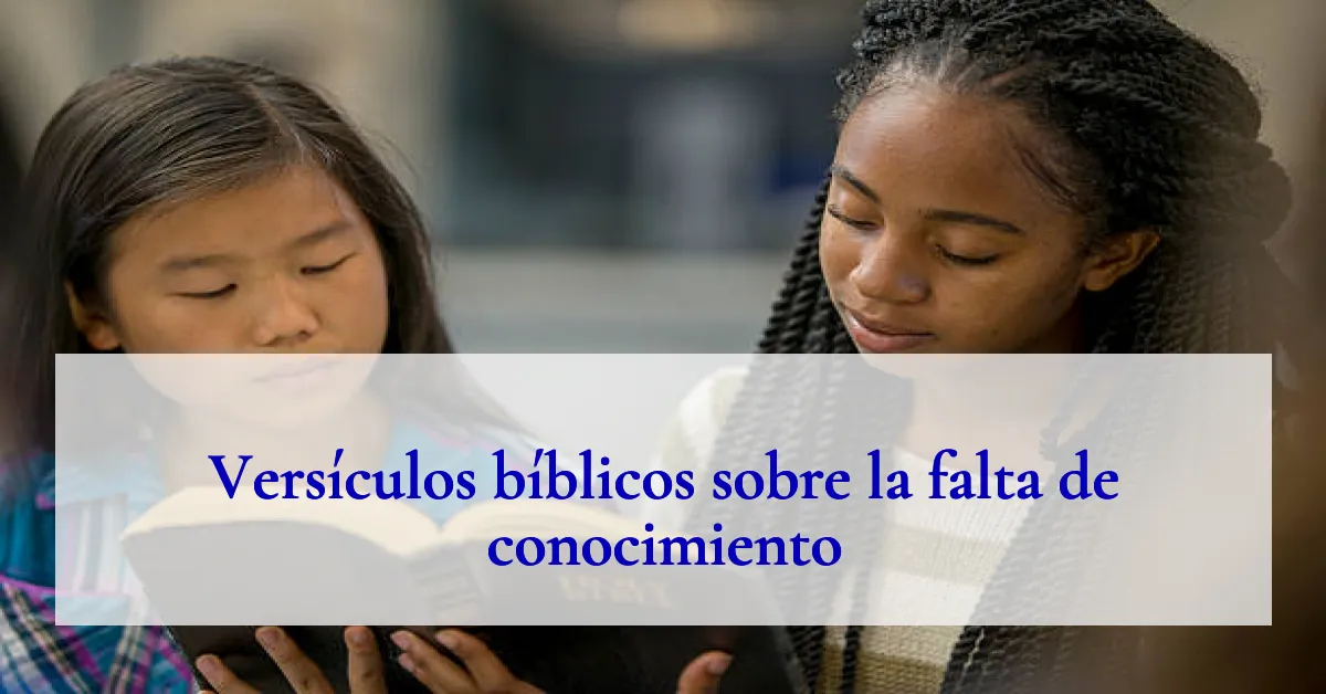 Versículos bíblicos sobre la falta de conocimiento