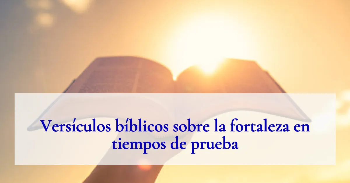 Versículos bíblicos sobre la fortaleza en tiempos de prueba