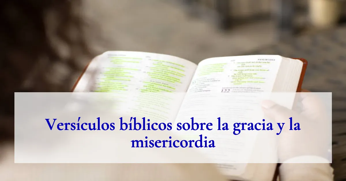 Versículos bíblicos sobre la gracia y la misericordia