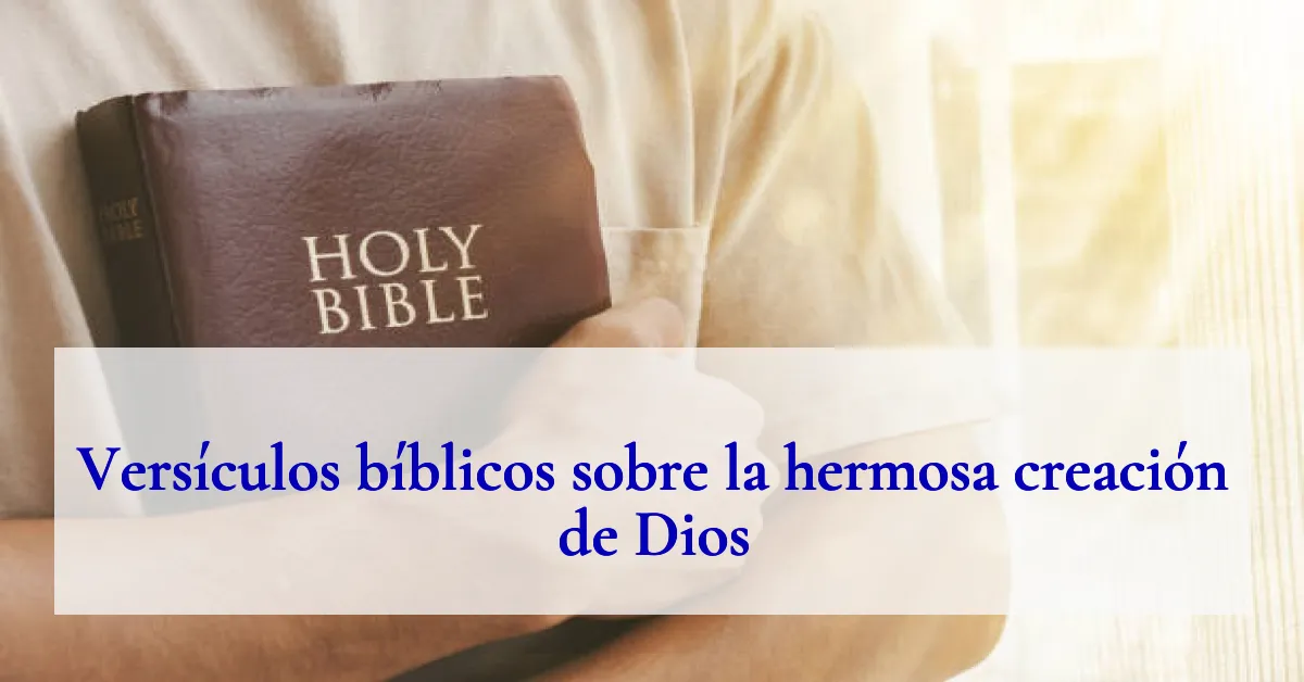 Versículos bíblicos sobre la hermosa creación de Dios