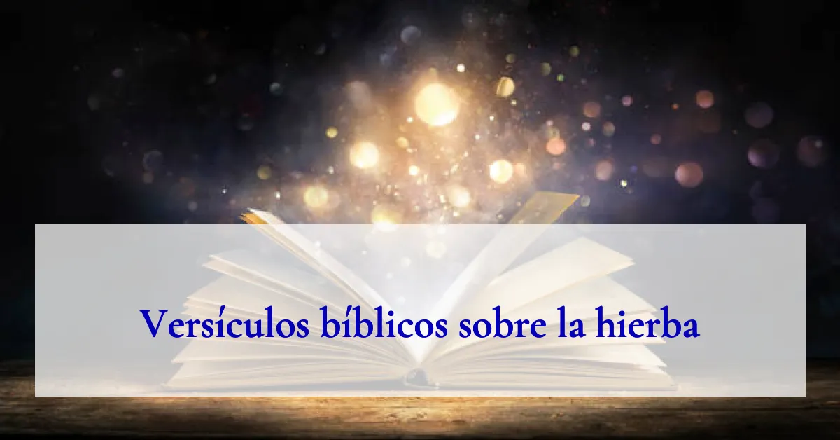 Versículos bíblicos sobre la hierba