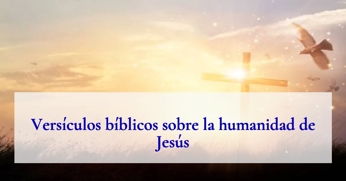 Versículos bíblicos sobre la humanidad de Jesús
