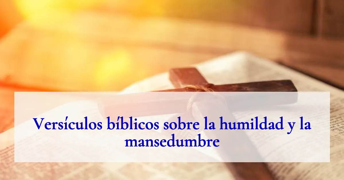 Versículos bíblicos sobre la humildad y la mansedumbre