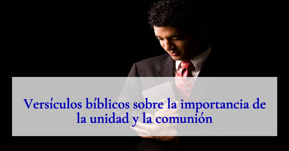 Versículos bíblicos sobre la importancia de la unidad y la comunión