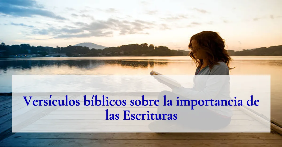 Versículos bíblicos sobre la importancia de las Escrituras