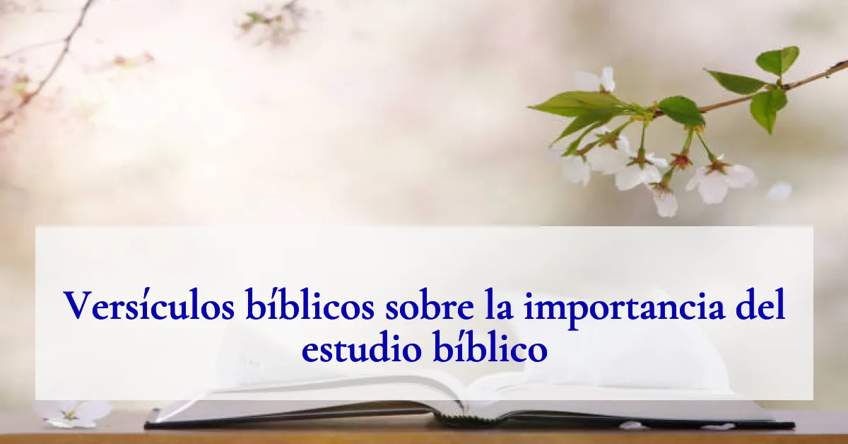 Versículos bíblicos sobre la importancia del estudio bíblico