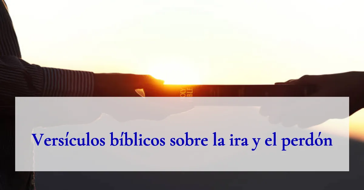 Versículos bíblicos sobre la ira y el perdón