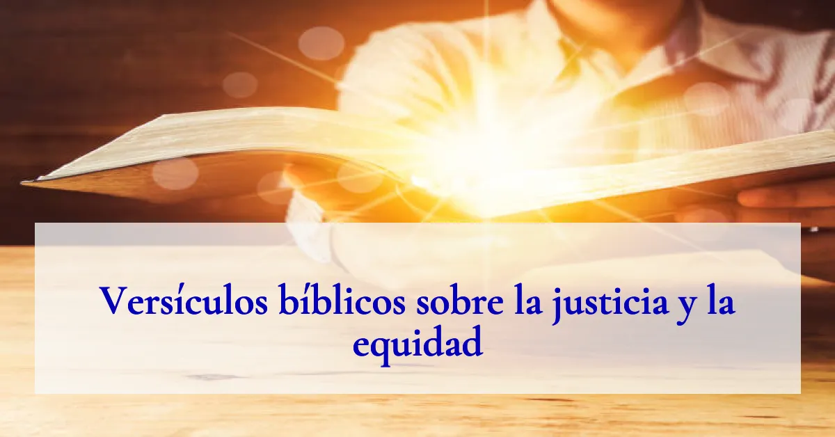 Versículos bíblicos sobre la justicia y la equidad