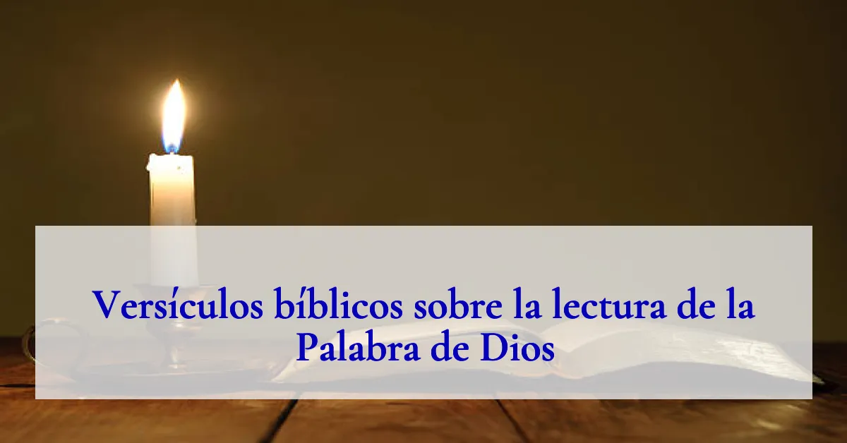 Versículos bíblicos sobre la lectura de la Palabra de Dios