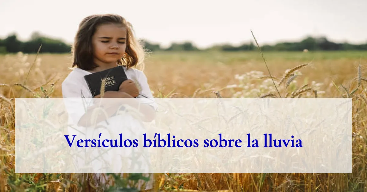 Versículos bíblicos sobre la lluvia