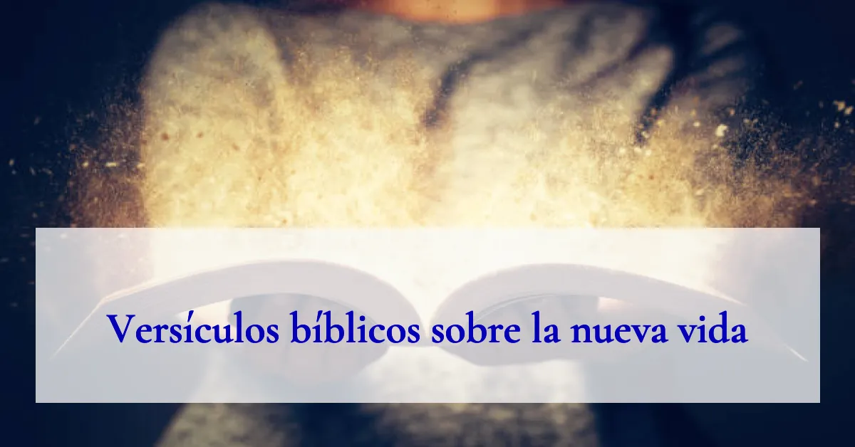Versículos bíblicos sobre la nueva vida