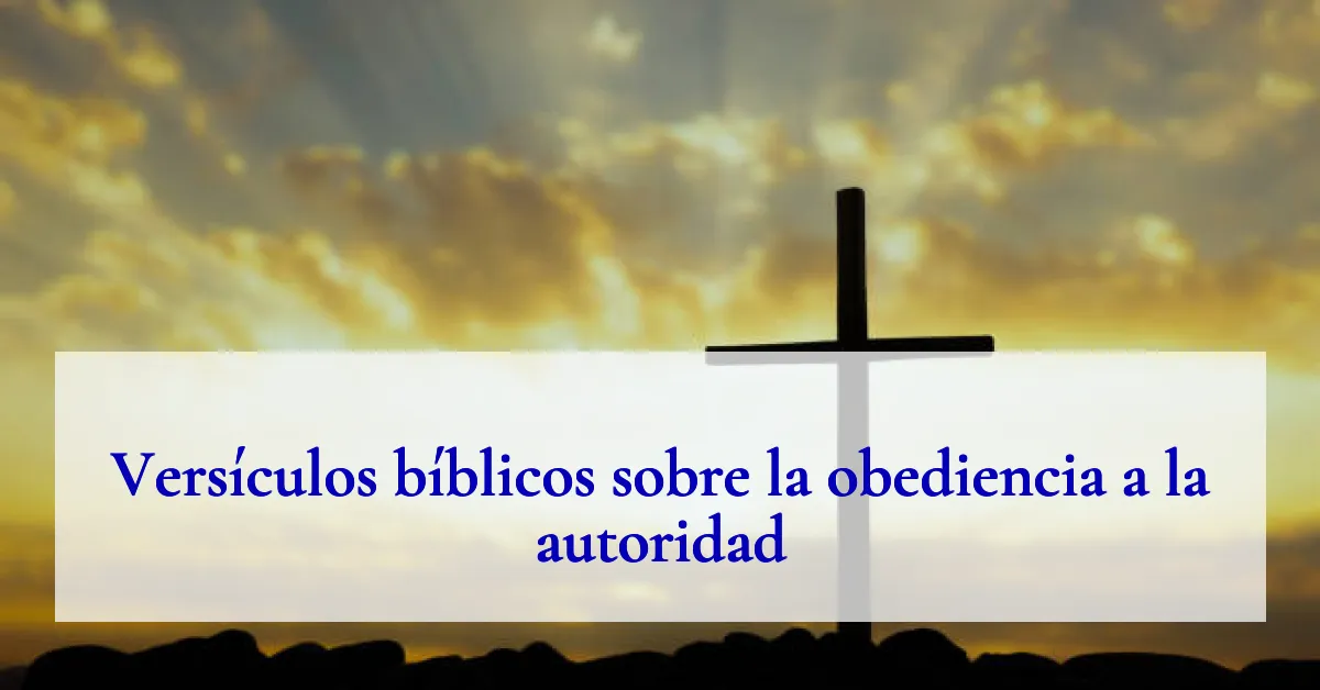 Versículos bíblicos sobre la obediencia a la autoridad
