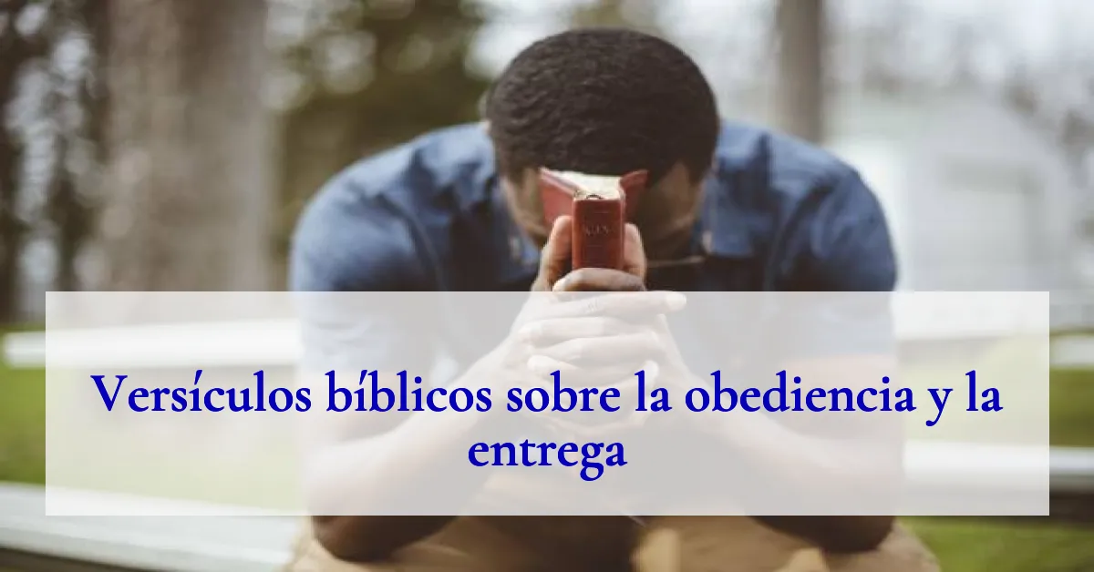 Versículos bíblicos sobre la obediencia y la entrega