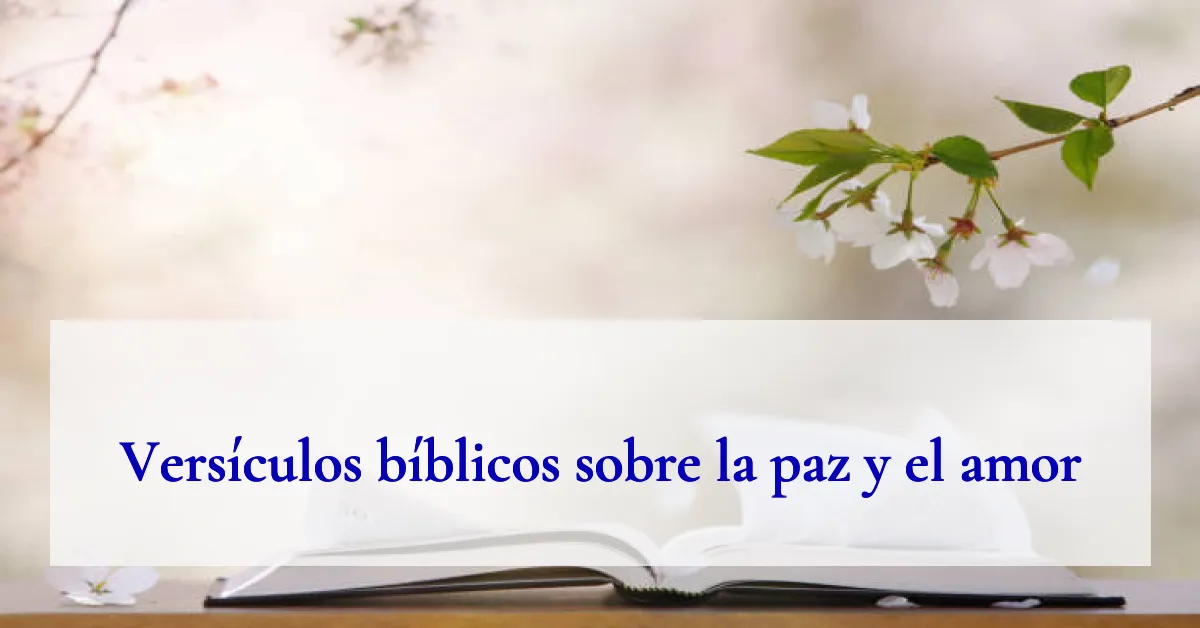 Versículos bíblicos sobre la paz y el amor