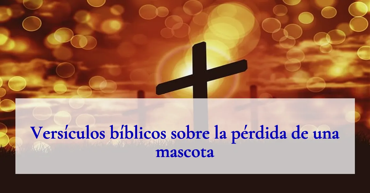 Versículos bíblicos sobre la pérdida de una mascota