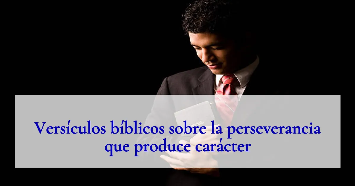 Versículos bíblicos sobre la perseverancia que produce carácter